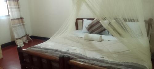 dream jet suites
