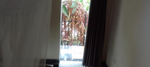 dream jet suites