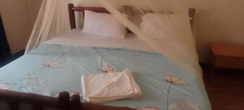 dream jet suites