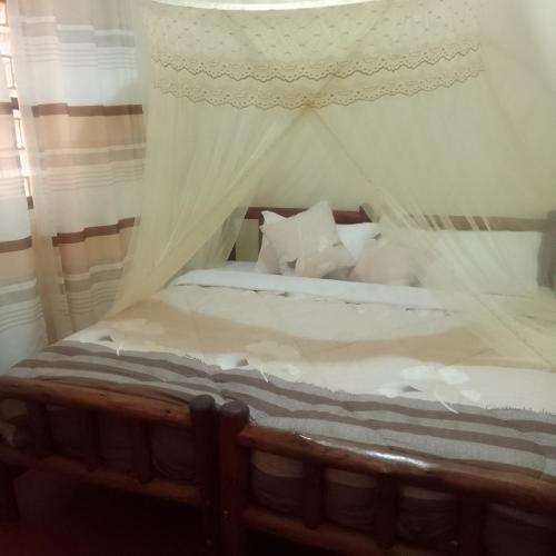 dream jet suites