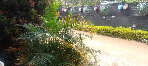 entebbe