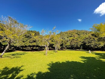 casa mangostan