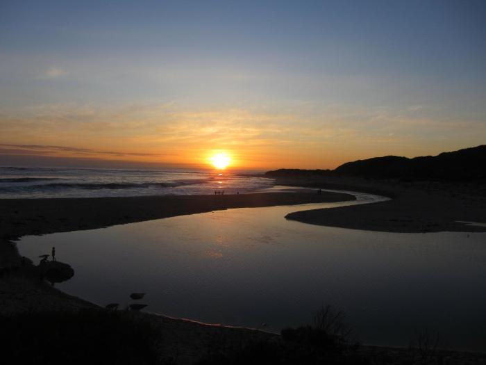 surfpoint resort