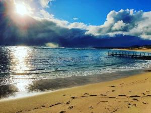 surfpoint resort