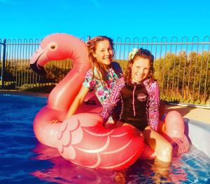 surfpoint resort