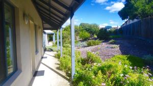 surfpoint resort