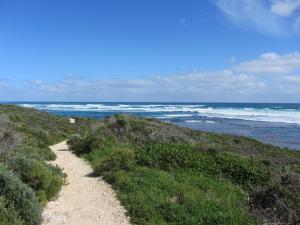 surfpoint resort