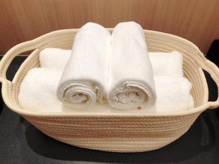 mkg hotel asakusa