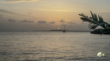 coral bay bungalows