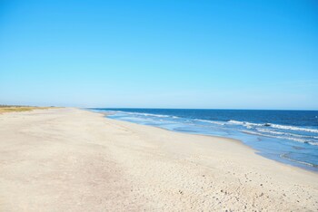 bellport