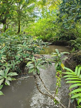 o yua resort