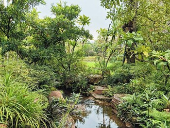 o yua resort
