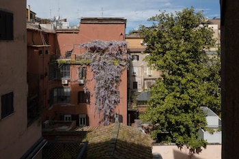 agh babuino