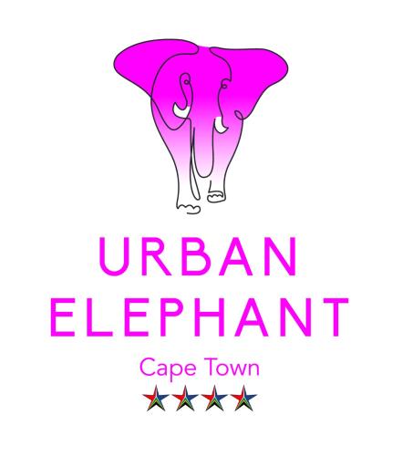 urban elephant express the flamingo
