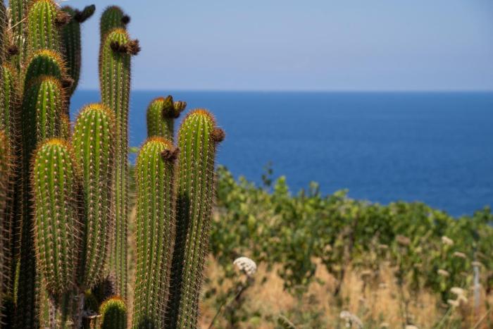 lipari