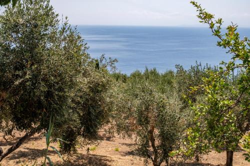 lipari