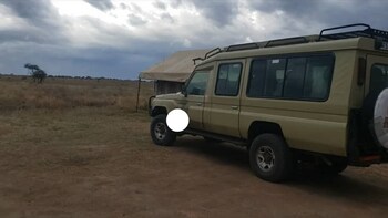 safari junction backpackers hostel