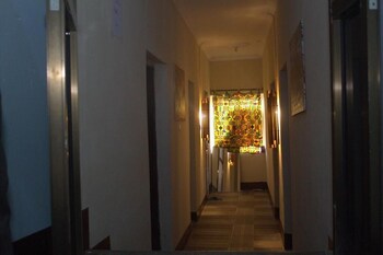 safari junction backpackers hostel