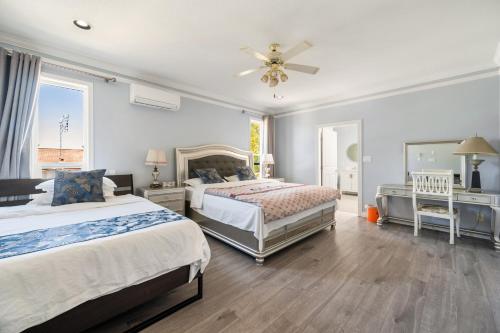 amy guesthouse