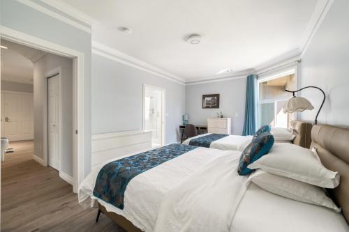 amy guesthouse