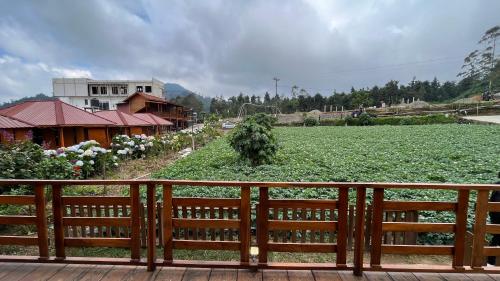 fifa cabin dieng by fifa grup