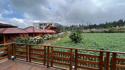 fifa cabin dieng by fifa grup