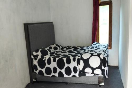 homestay wong kito