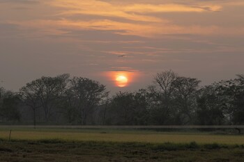 the den at yala