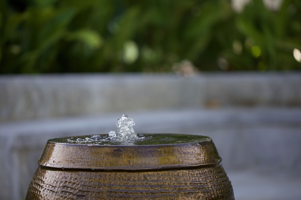 chez bure bure homestay