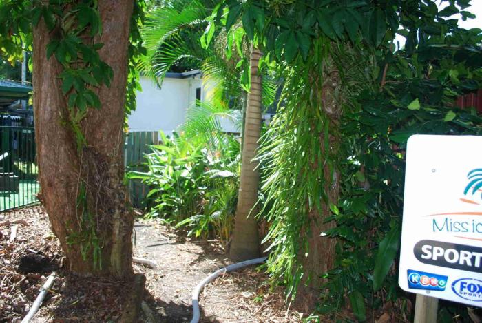 rainforest motel