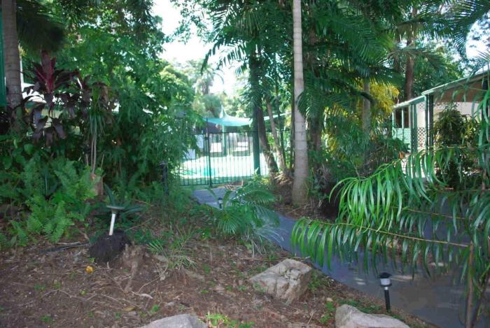 rainforest motel