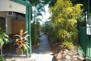 rainforest motel