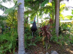 rainforest motel