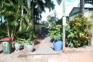 rainforest motel