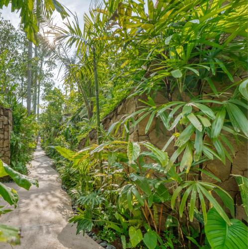 ubud
