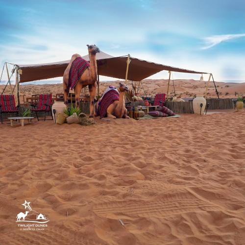 twilight dunes by miracle oman
