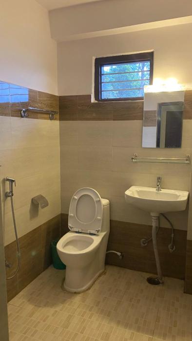 jungle front lodge