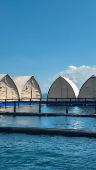 samal