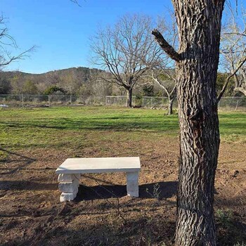 pitmaster rv park