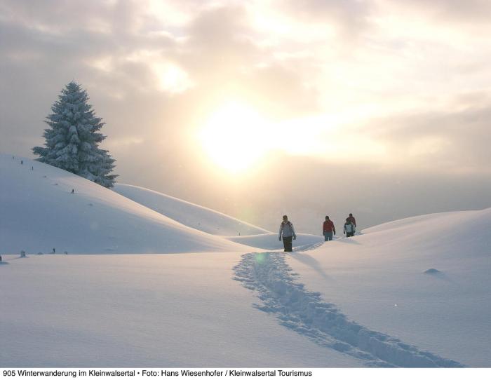 alpine lodge klosterle am arlberg
