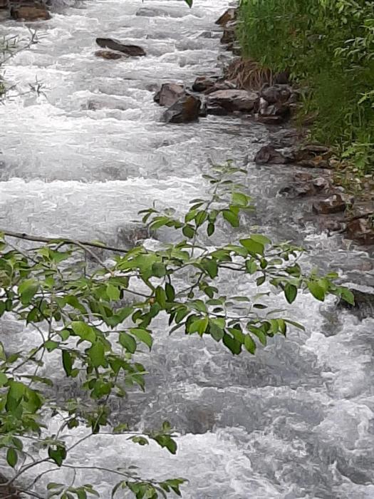 alpine lodge klosterle am arlberg