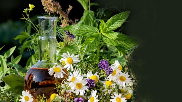 alpine lodge klosterle am arlberg