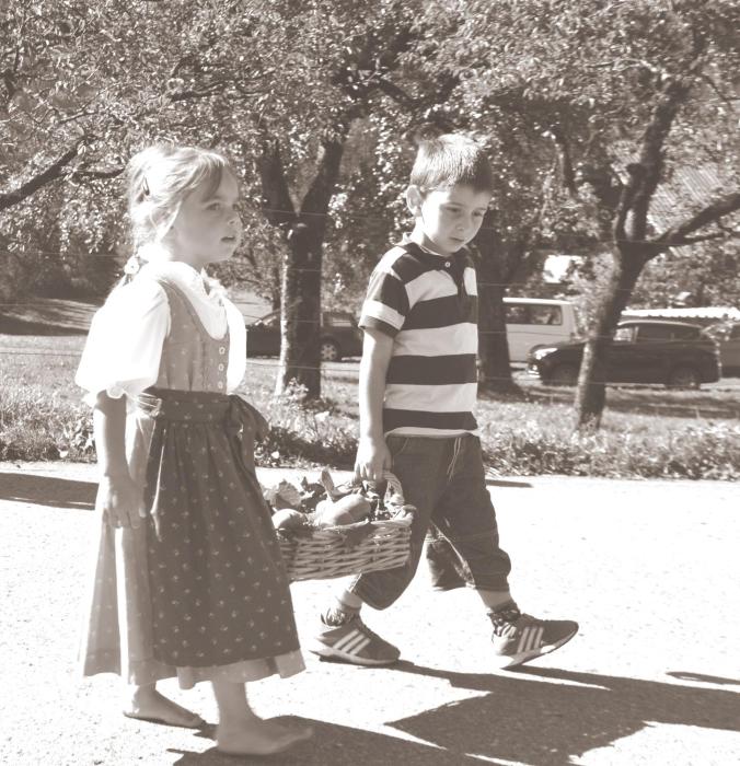 alpine lodge klosterle am arlberg