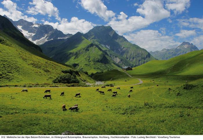 alpine lodge klosterle am arlberg