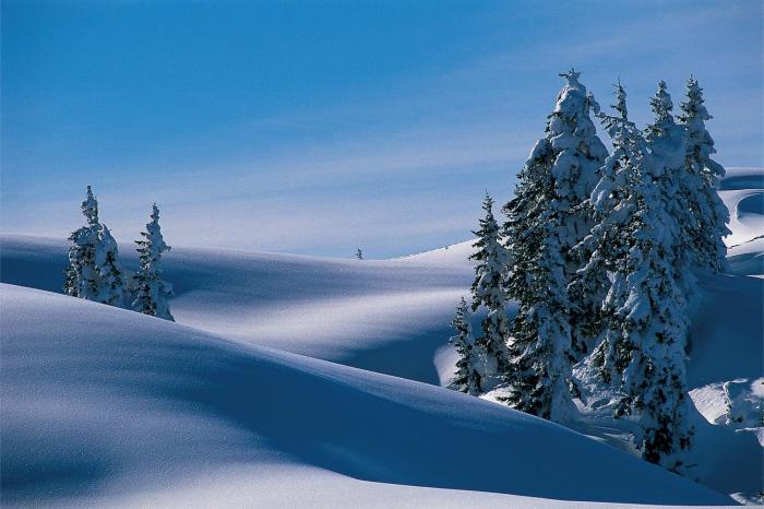 alpine lodge klosterle am arlberg