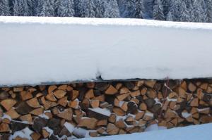 alpine lodge klosterle am arlberg