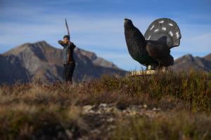 alpine lodge klosterle am arlberg