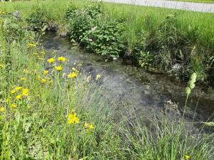 alpine lodge klosterle am arlberg