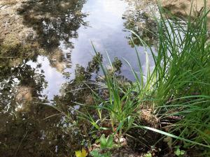 alpine lodge klosterle am arlberg
