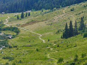 alpine lodge klosterle am arlberg